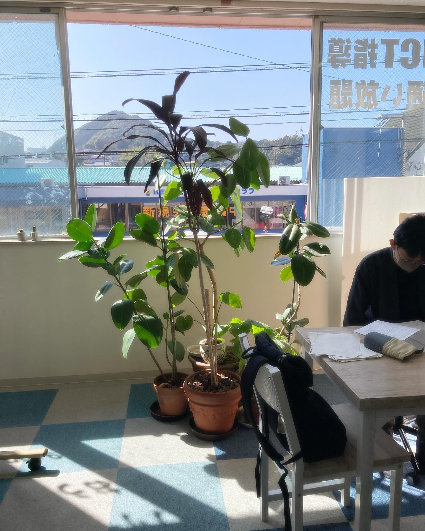 受験生と植物と日差しと今日は気持ちの良い天気です️この暖かい日差しを塾にいる観葉植物たちにも、浴びせたいと思い、窓際に全員集合させました。まるで入試対策中の受験生を見守っているようです今日で三連休のテスト対策最終日です。悔いの残らないようにラストスパート頑張ろう